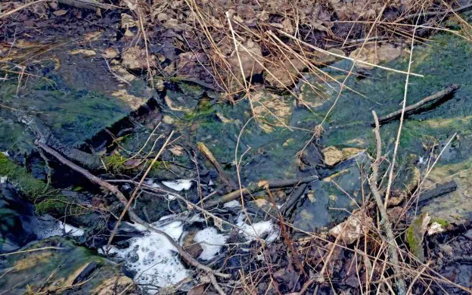 Слив нечистот в реку Воронеж планируется узаконить