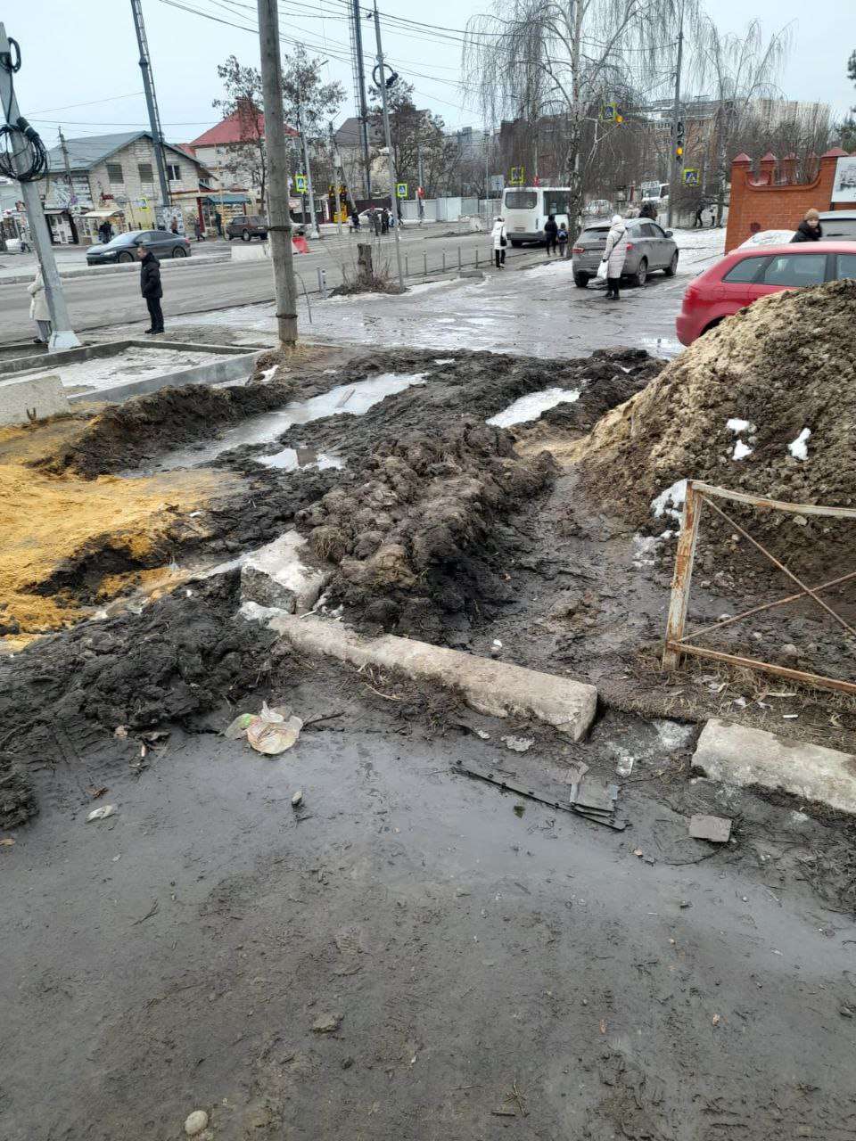 Воронежцы утопают в грязи в ожидании автобуса на остановке «Ботанический сад»