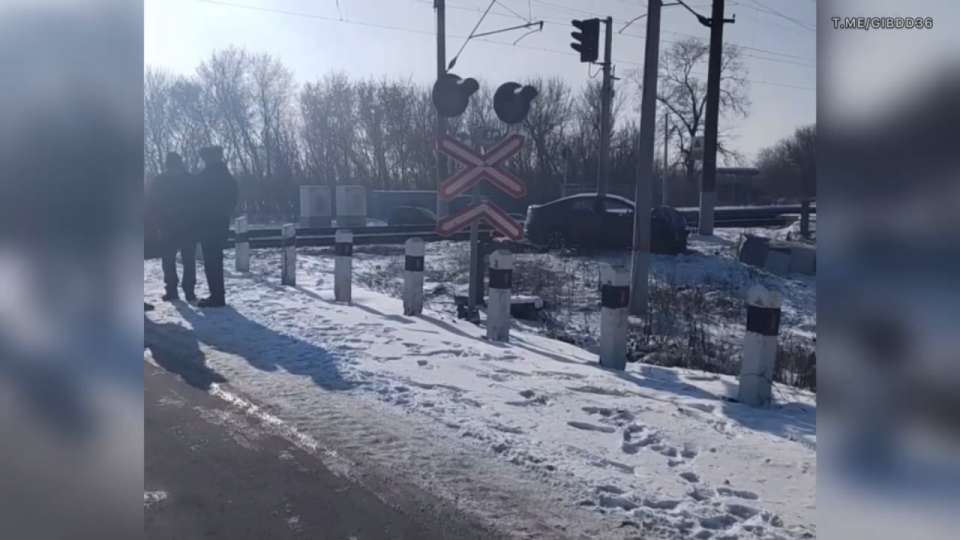 Смертельное ДТП с участием поезда произошло в Таловском районе Воронежской области