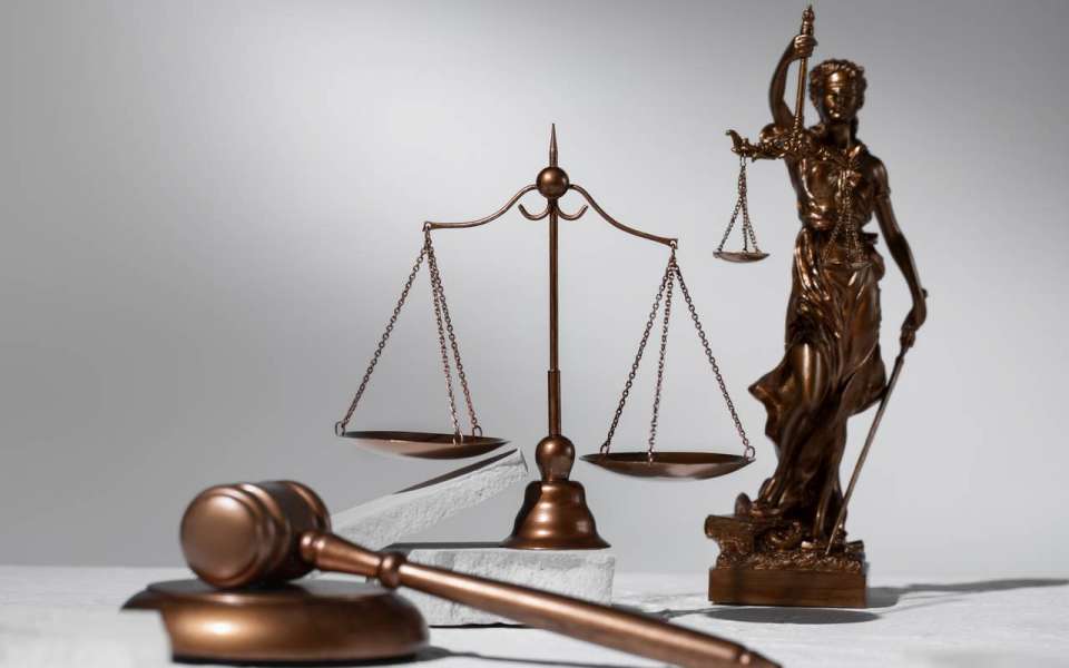 Воронежские суды получили новых судей: назначены Дарья Наумова и Елена Насонова