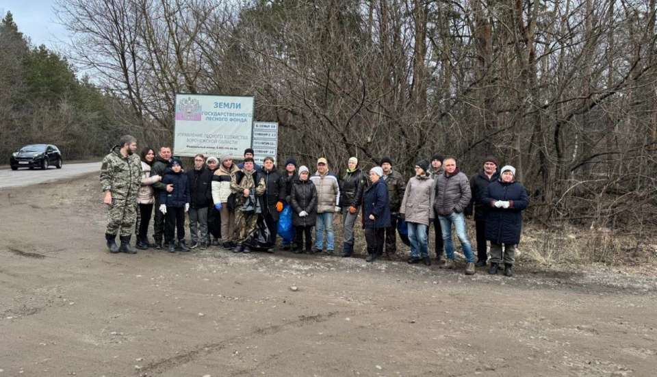 Воронежские дачники проявили экологическую ответственность