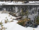 Красные стоки «Овощей Черноземья» привели к загрязнению реки Усмань