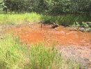 Администрация Новохоперска должна выплатить 3,9 млн рублей за нанесенный вред окружающей среде