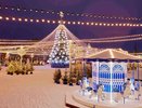 В Воронеже проектировщик Дома анимации оформит площадь Ленина к Новому году 