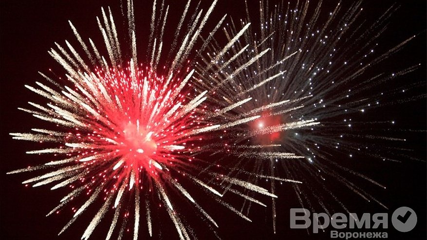 Главная картинка новости: Подводим итоги: Чем воронежцам запомнился ушедший 2013 год