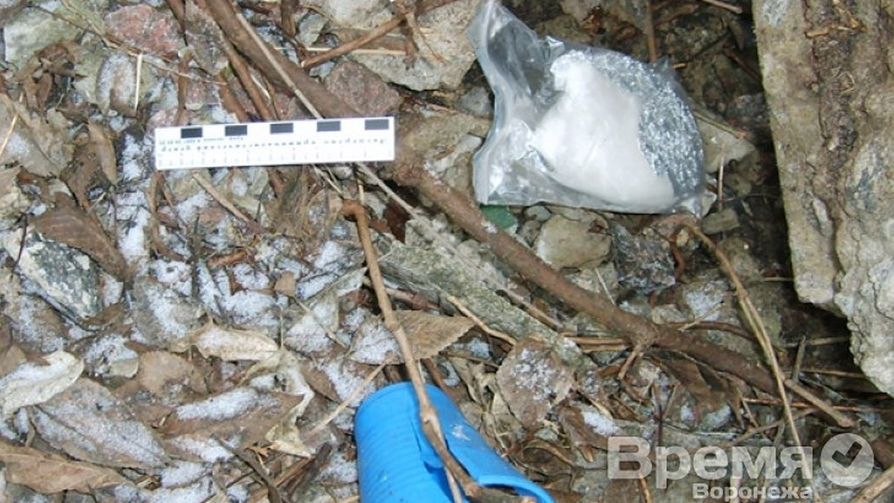 Главная картинка новости: Во время праздничных каникул наркополицейские нашли почти 3 килограмма наркотиков, спрятанных в парках и скверах по всему городу