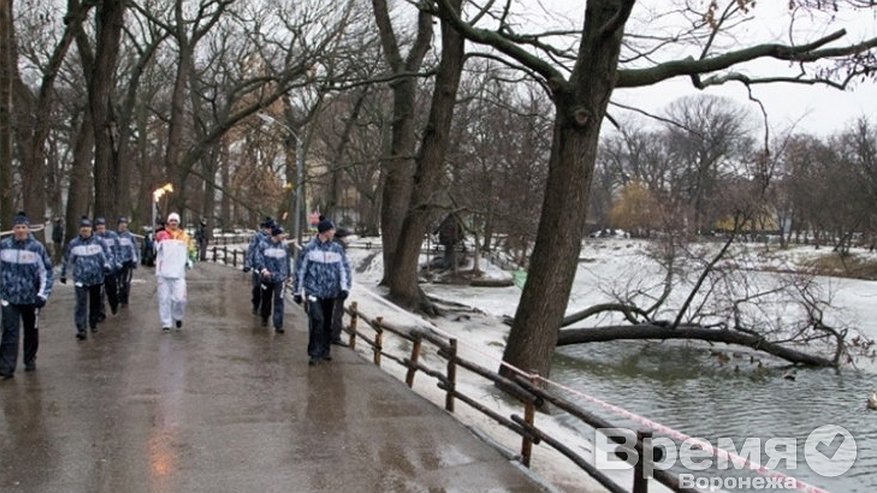 Главная картинка новости: Cпортсмена возмутило, что в воронежском этапе эстафеты Олимпийского огня участвуют иностранцы