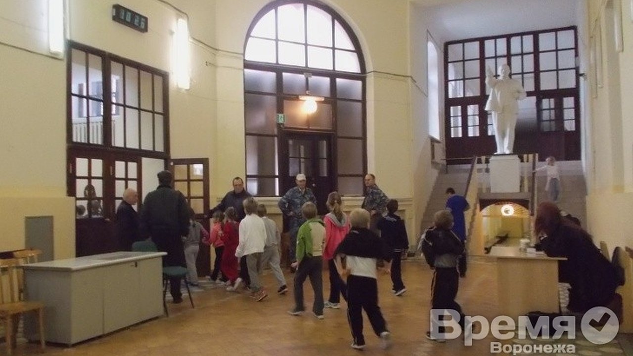 Главная картинка новости: В Воронеже рассказали, при какой температуре отменят занятия в школах