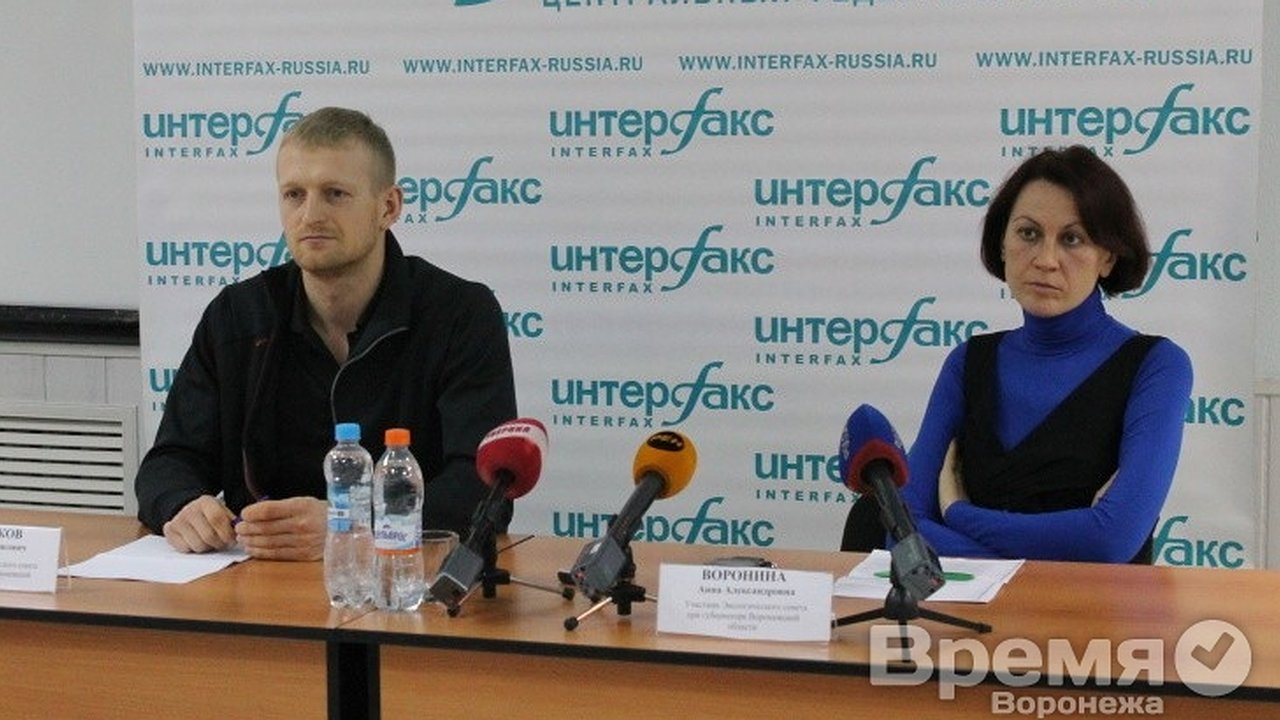 Главная картинка новости: Воронежские экоактивисты предложили ввести мораторий на вырубку деревьев