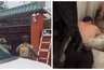 Миниатюра новости: В Воронеже правоохранители допросили совладельца Алексеевского рынка Юсифа Халилова