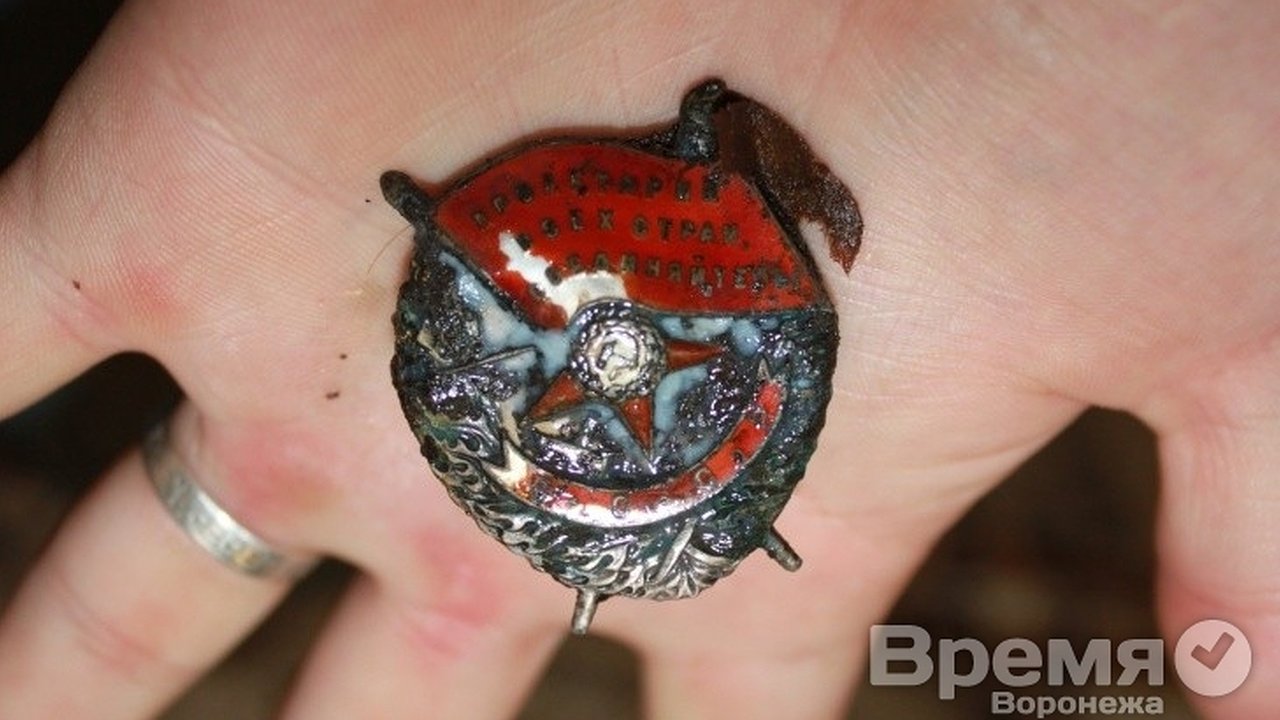 Главная картинка новости: В Воронеже нашли останки солдат и офицера, погибших во время Великой Отечественной войны