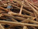Правоохранители проверят законность сноса усадьбы Олениных под Воронежем