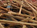 После сноса усадьбы Олениных под Воронежем возбуждено уголовное дело 