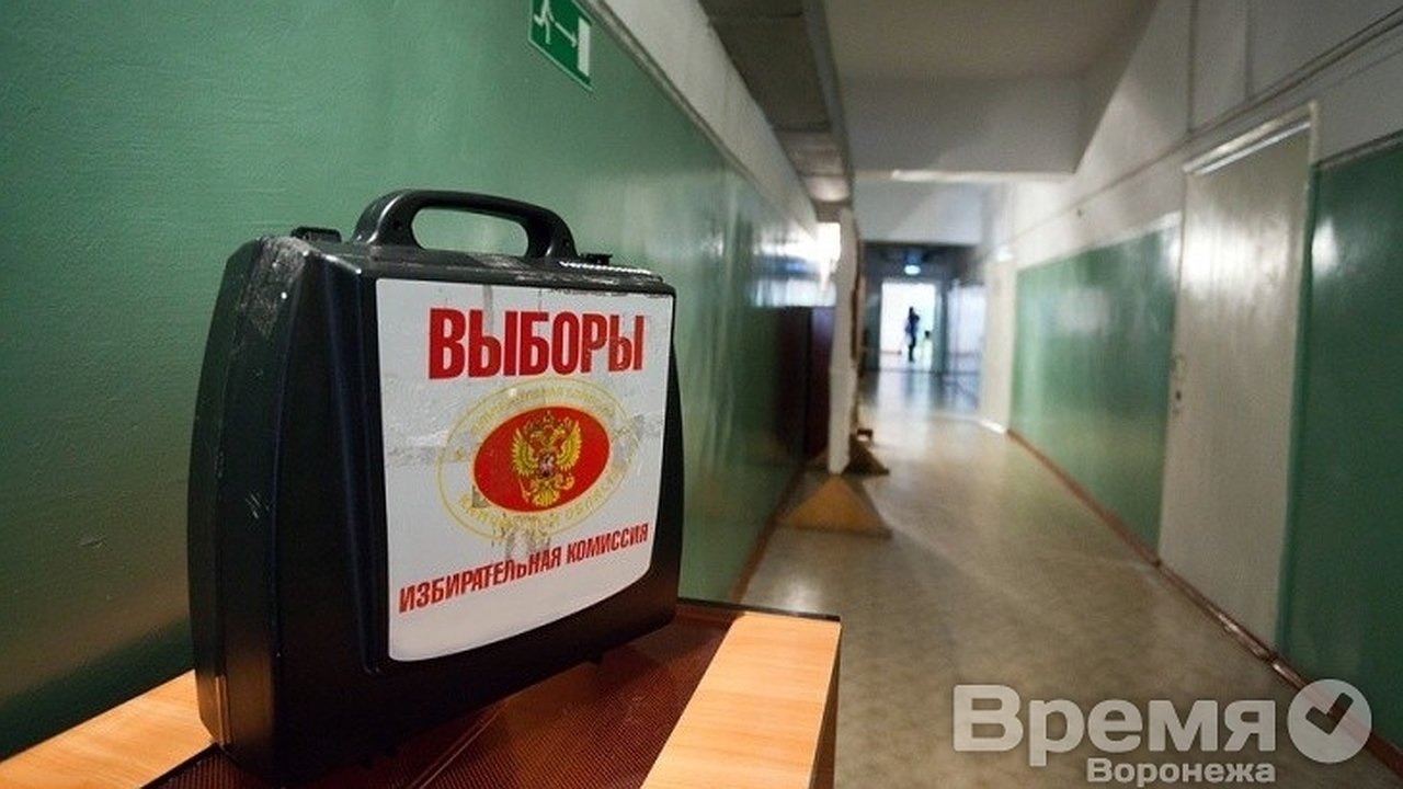 Главная картинка новости: По стойке смирно! - или Воронежский майдан