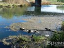 В Воронеже спасение Масловского затона подешевело почти на 9 млн рублей