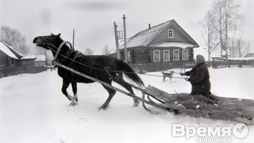 Главная картинка новости: Воронеж включается в дело спасения почты