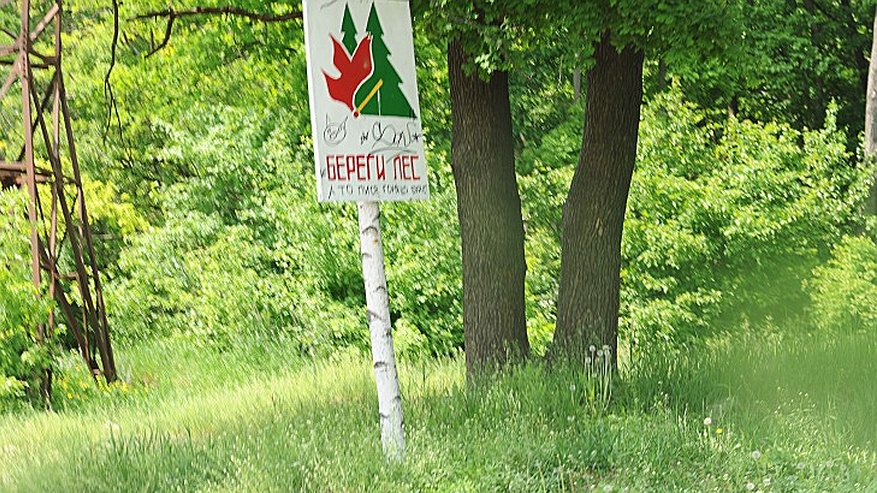 Главная картинка новости: «Зеленая» горячая линия появится в Воронеже