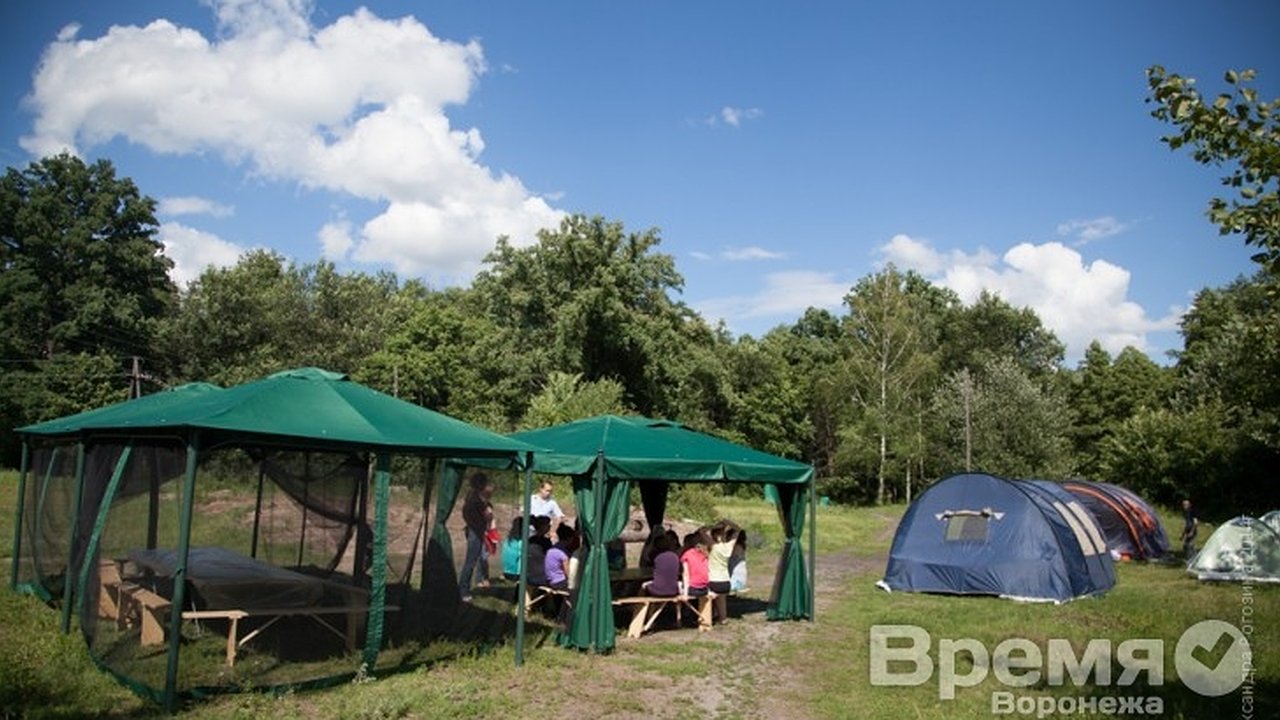 Главная картинка новости: Воронежцев приглашают стать волонтёрами заповедника