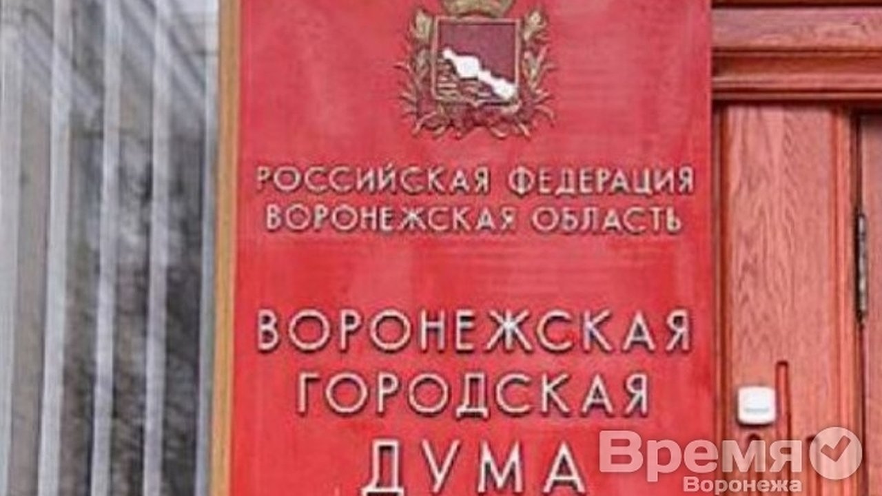 Главная картинка новости: Воронежская Гингема, или Политический нигилизм как экономическая маскировка