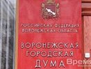 Воронежская Гингема, или Политический нигилизм как экономическая маскировка