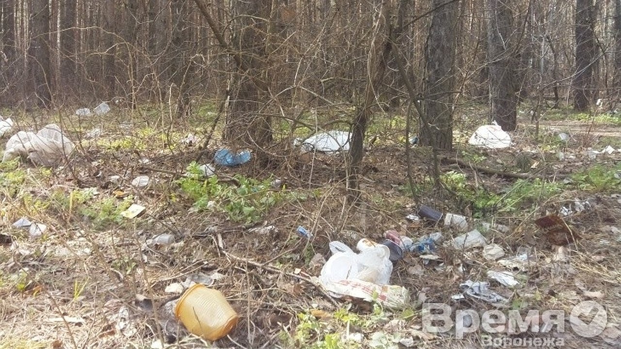 Главная картинка новости: Воронежские чиновники будут бороться с мусором