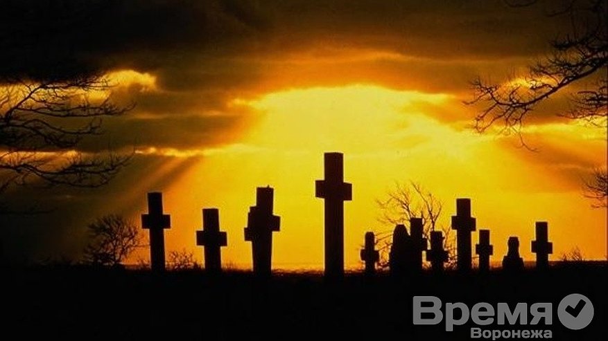 Главная картинка новости: «Темный бизнес шит белыми нитками»