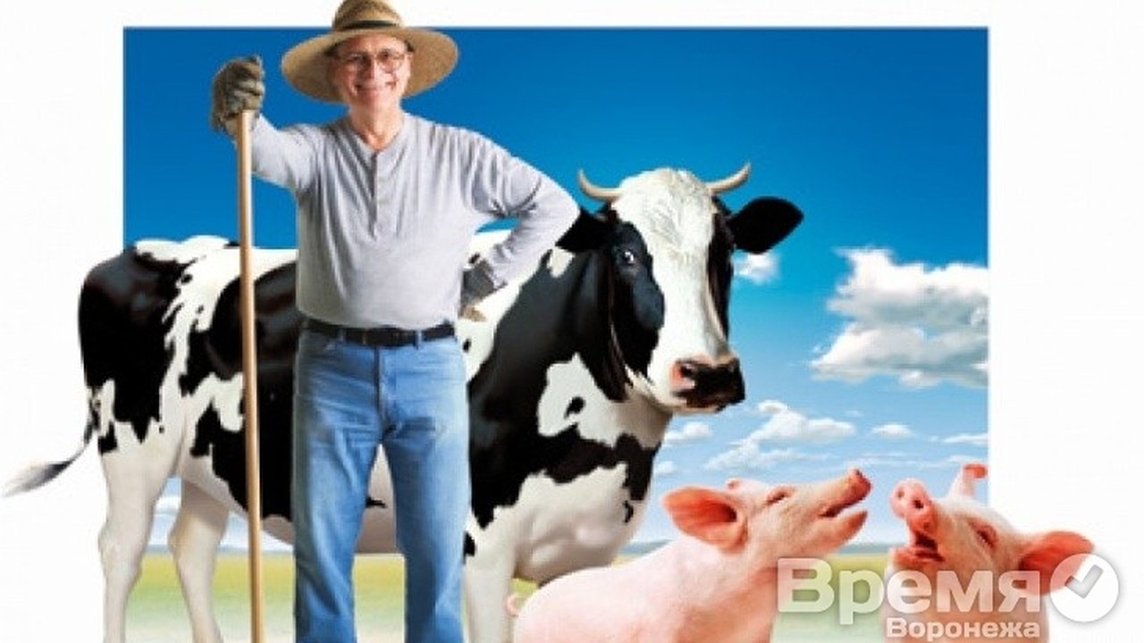 Главная картинка новости: Воронежские фермеры берут многомиллионные кредиты по поддельным документам