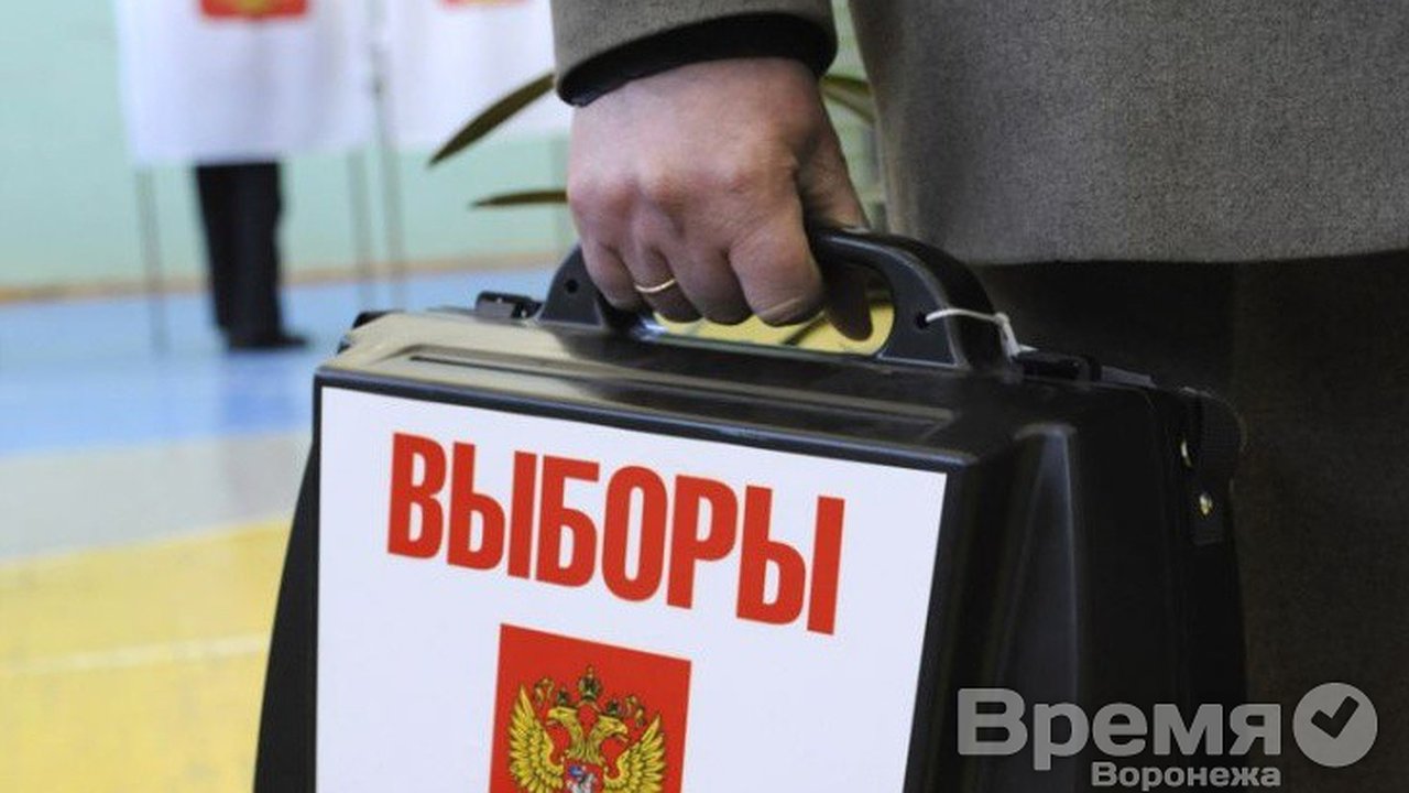 Главная картинка новости: Воронежцы не жалуются на то, что начальство принуждает их голосовать по месту работы