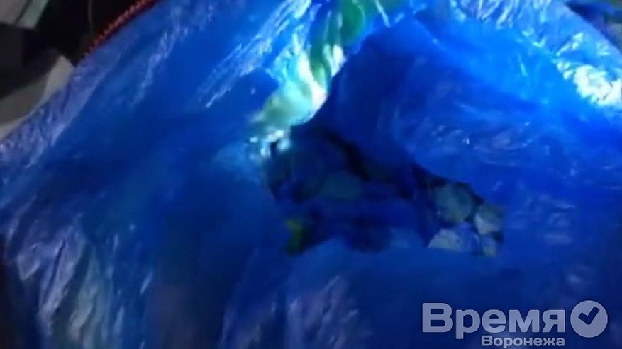 Главная картинка новости: В Воронеж пытались привезти героин на 2,5 миллиона рублей