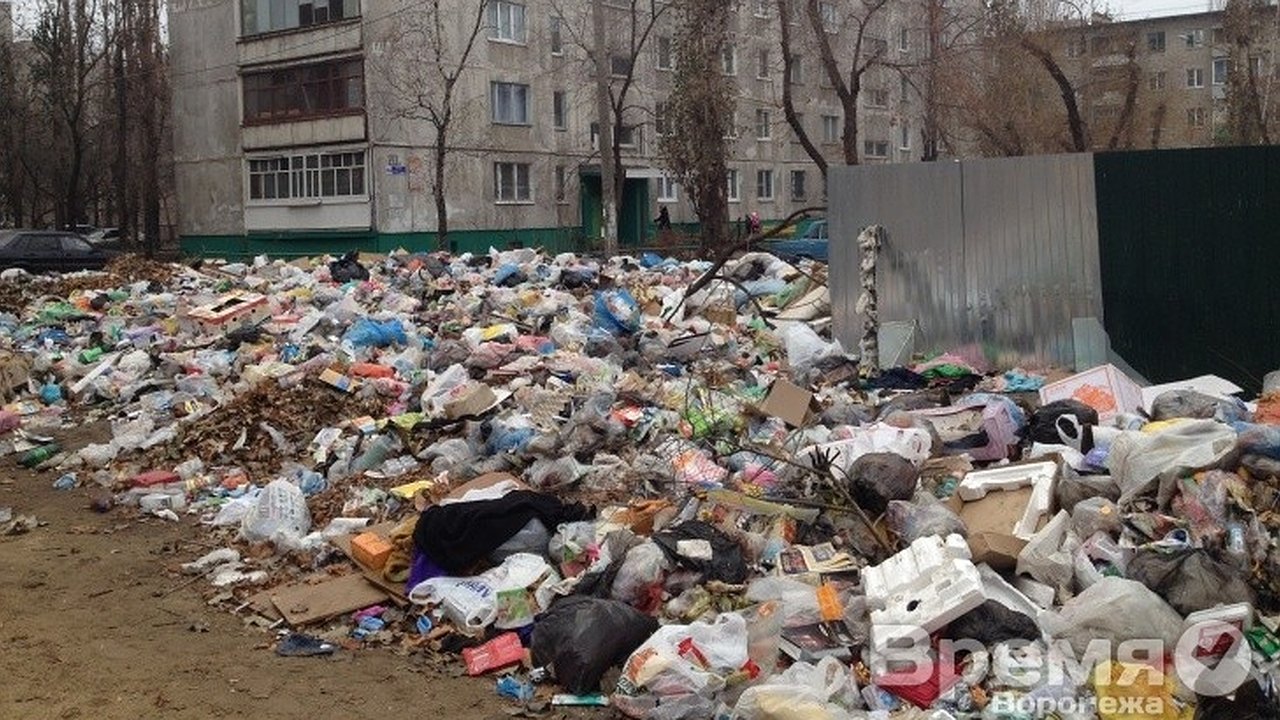 Главная картинка новости: Вывоз отходов по-воронежски: одни мусорят, другие платят