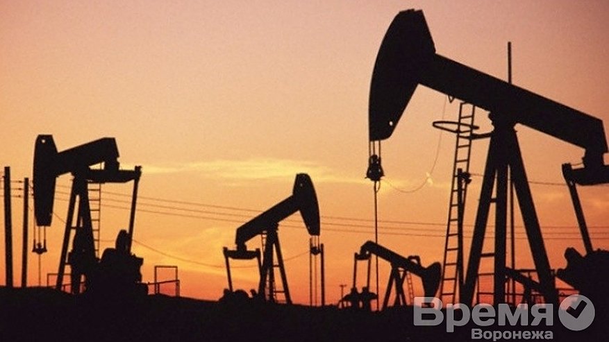 Главная картинка новости: Прогноз на 2015 год финансового аналитика интернет-газеты «Время Воронежа»