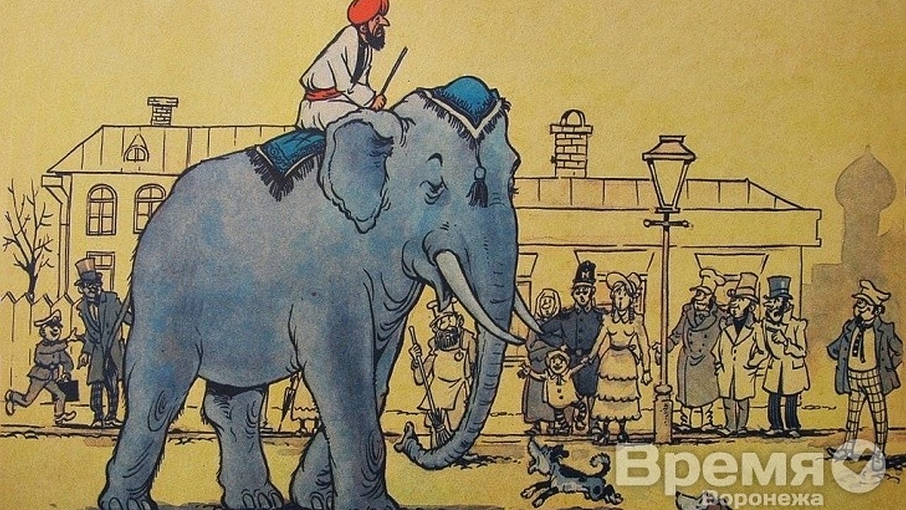 Главная картинка новости: В Семилуках конкурс между «слоном» и «моськами»?