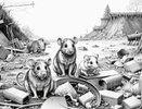 Бастрыкин заинтересовался воронежской свалкой, которую заполонили крысы и насекомые