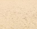 Песчаный карьер в Рамонском районе попытаются продать за 102,5 млн рублей