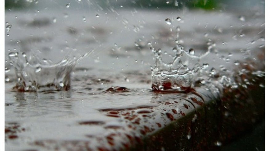 Главная картинка новости: Воронеж неделю будут заливать дожди