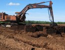 В Воронежской области снова будут добывать торф