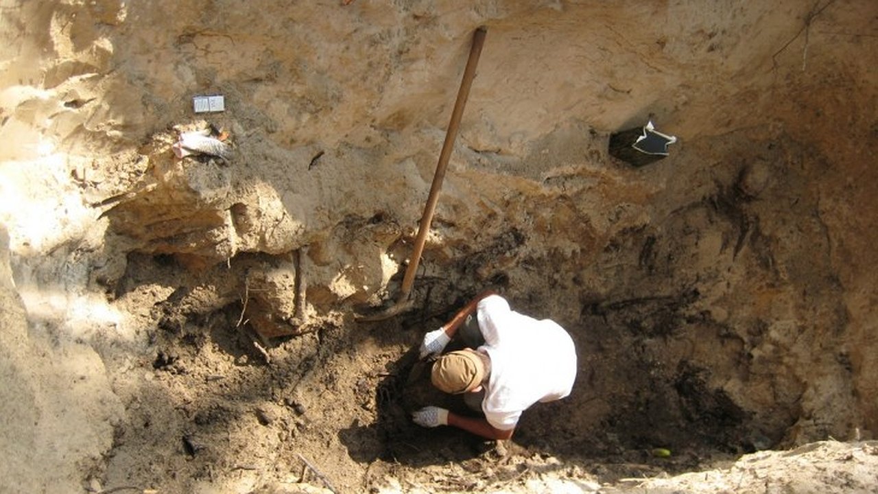 Главная картинка новости: Из расстрельных ям под Воронежем подняты останки 170 жертв политических репрессий