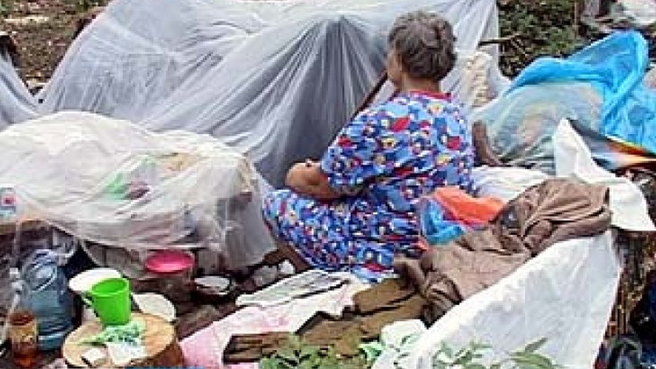 Главная картинка новости: Следователи выяснят, почему городские власти не предоставляют жилье многодетной семье