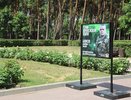 В Воронежском «Динамо» и «Алых парусах» установили баннеры с героями СВО