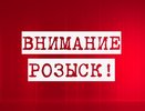От правосудия в Воронеже скрылись более 300 преступников 