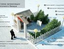 Елочные базары в Воронеже начнут свою работу 19 декабря