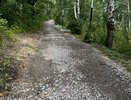 Дорожка для велороллеров в Калачеевском парке оказалась похожей на трассу для маунтинбайка