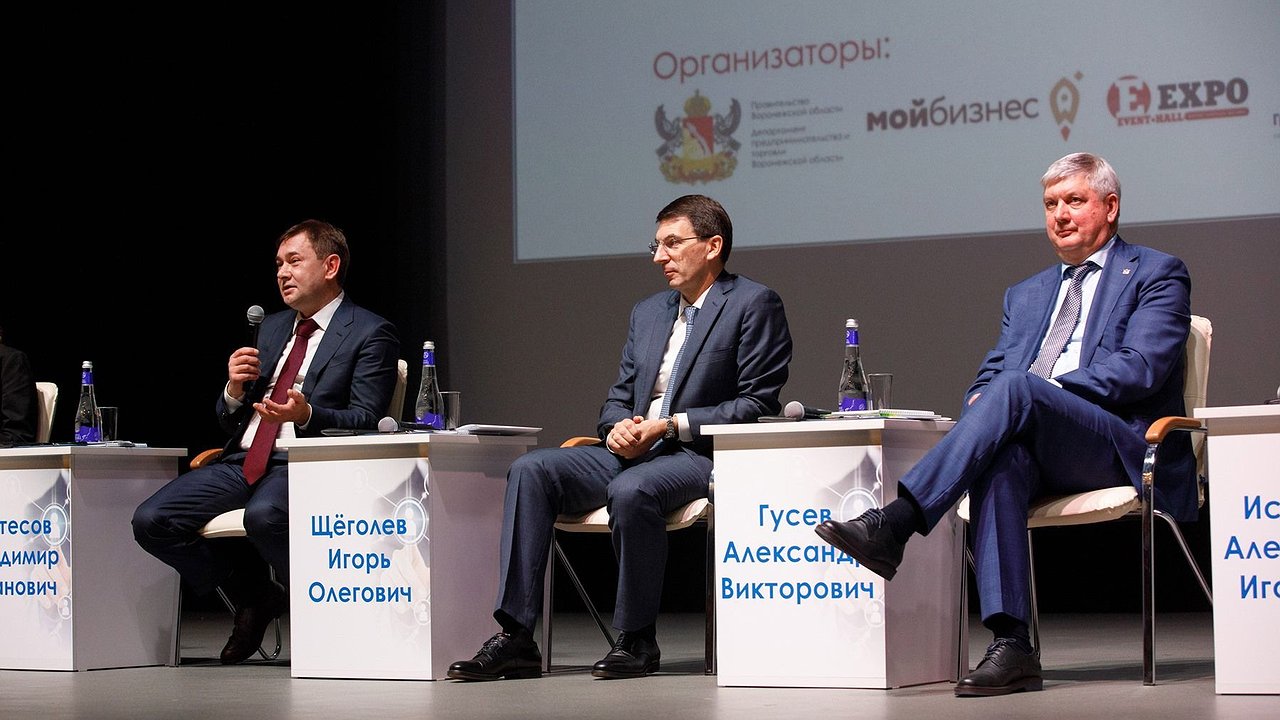 Главная картинка новости: Владимир Нетесов рассказал о поддержке в Воронежской области проектов в сфере туризма