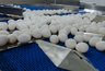 Миниатюра новости: Воронежское УФАС подозревает четыре компании в картельном сговоре при повышении цен на яйца в регионе