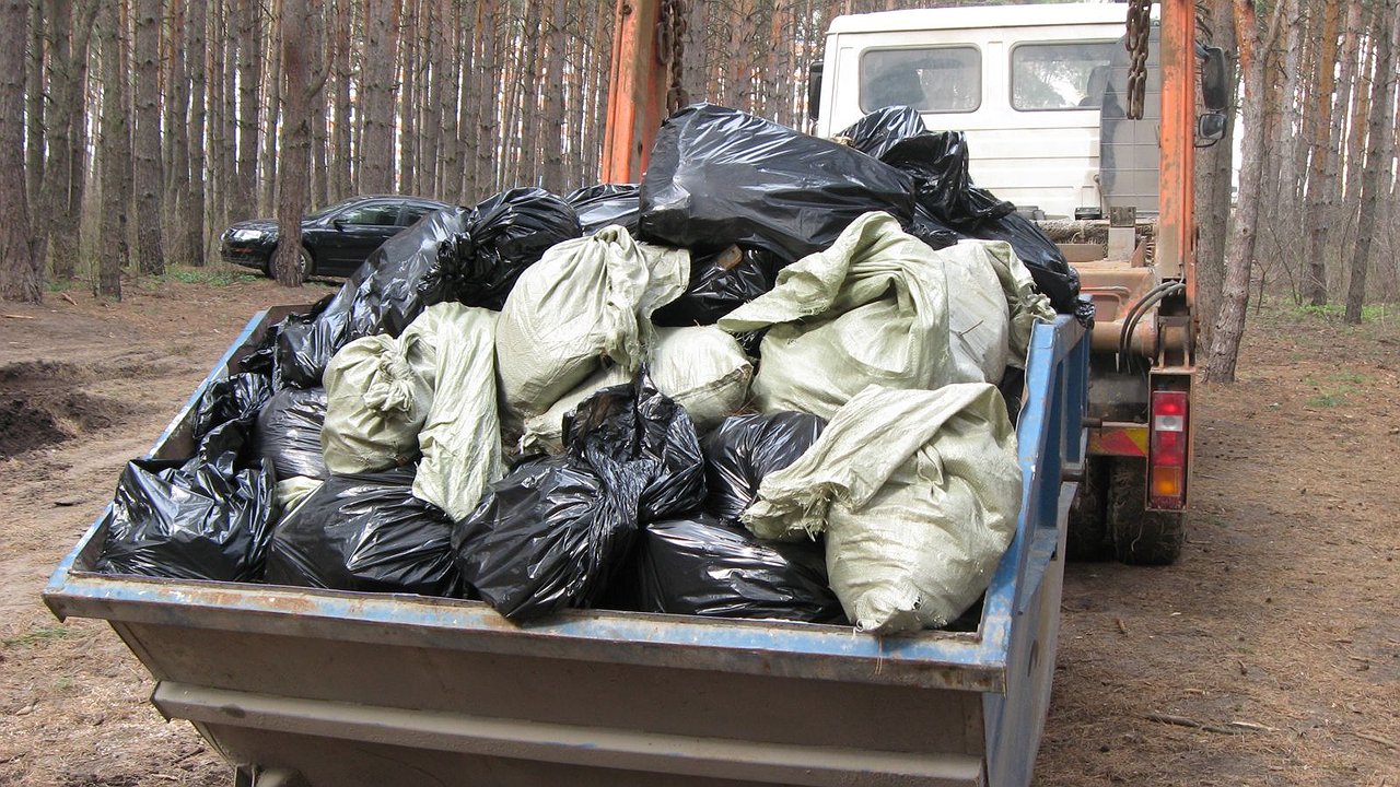 Главная картинка новости: В Воронежской области построят 16 мусоросортировочных комплексов за 1 млрд рублей