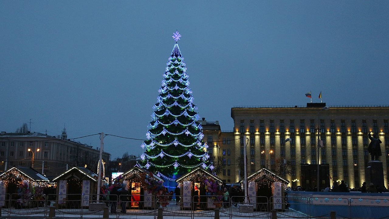 Главная картинка новости: Новогоднюю ель в центре Воронежа установят и нарядят за 1,7 млн рублей 