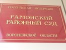 Суд скостил срок за взятку бывшему главе села под Воронежем
