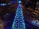 Установка и демонтаж новогодней ели в Воронеже обойдутся в 1,9 млн рублей