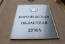 Миниатюра новости: Парламентарии утвердили стратегию развития Воронежской области до 2035 года