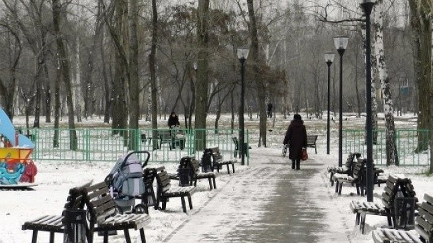 Главная картинка новости: Разработку проекта воронежского парка «Южный» доверили бюджетному учреждению